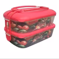 لانچ باکس(ظرف غذا) دوطبقه تاپکو