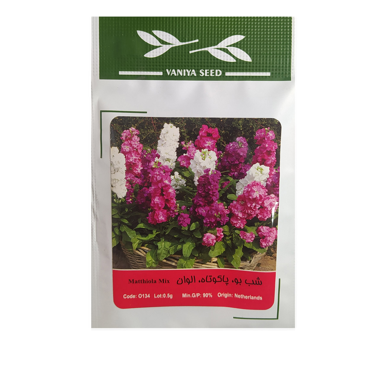 بذر گل شب بو پاکوتاه الوان