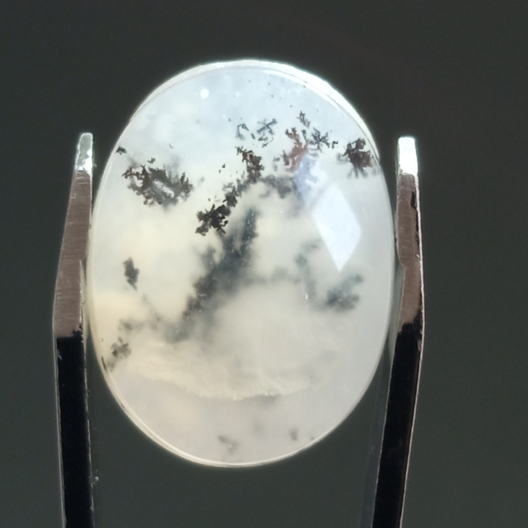 نگین دنباله شجر قائن 