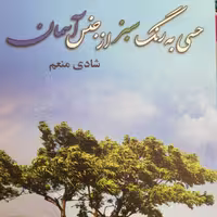 حسی به رنگ سبز از جنس آسمان نوشته ی شادی منعم نشر علی