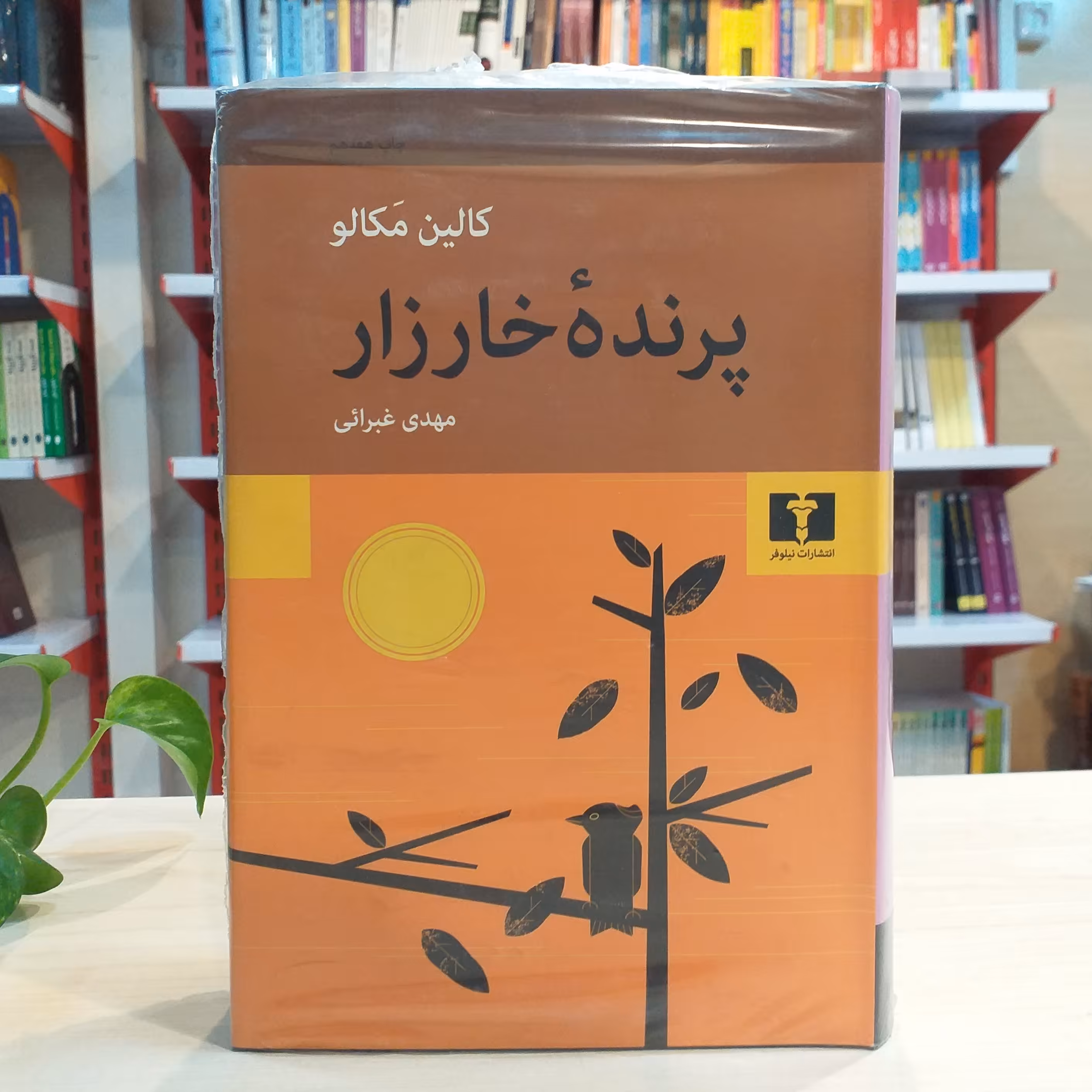 کتاب پرنده خارزار با ترجمه مهدی غبرایی از انتشارات نیلوفر 