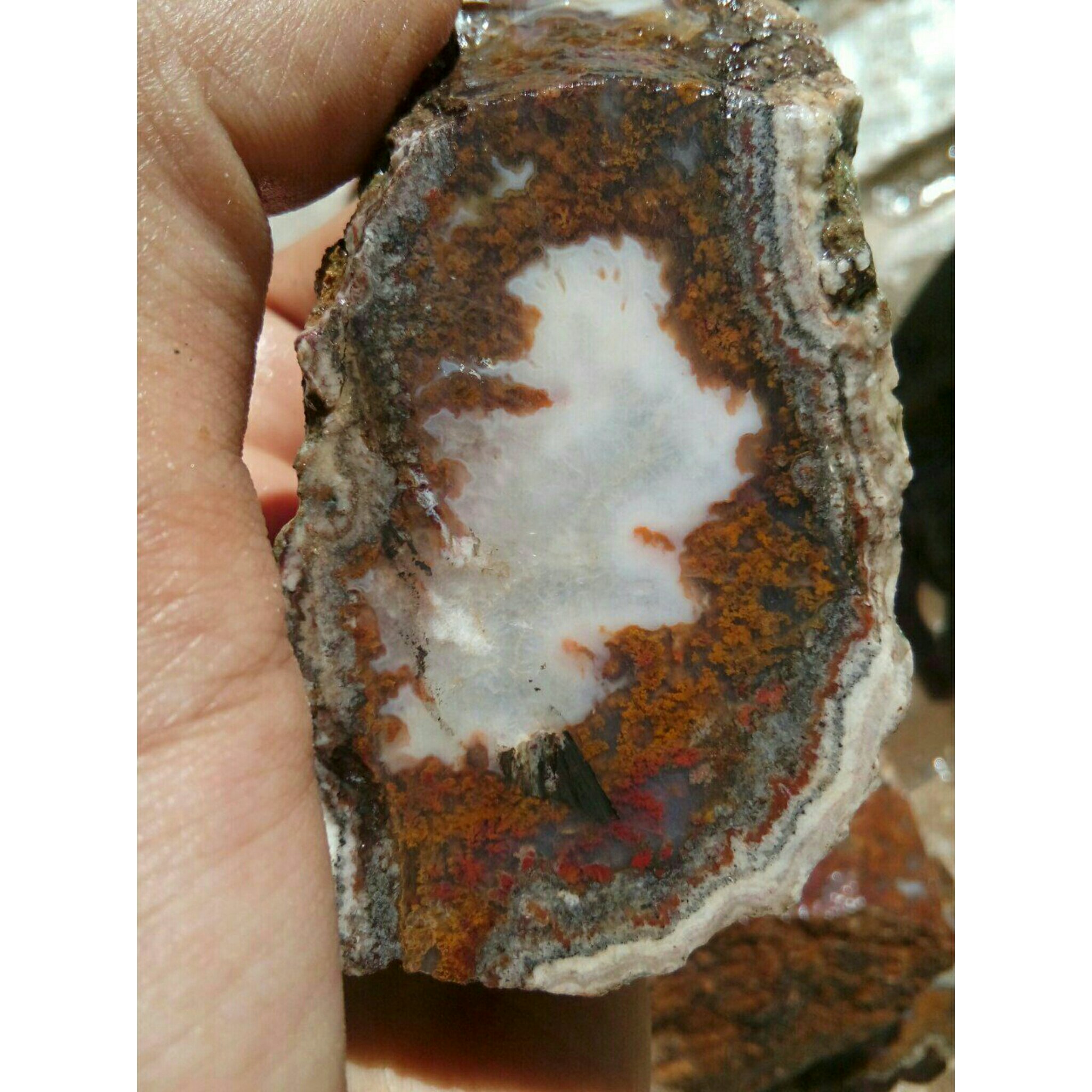 راف شجر منظره مختص تراش نگین و کلکسیون بسیار خاص و زیبا و خوش رنگ