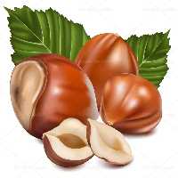 وکتور فندق تازه با پوست | گرافیک با طعم تربچه