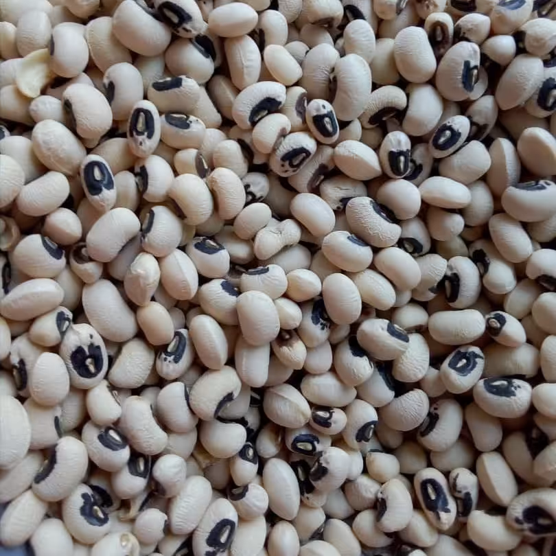 لوبیا چشم بلبلی.حداقل سفارش4کیلو