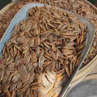 تخمه آفتابگردان خارجی طعم کچاپ هشتصد گرمی