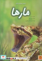 قیمت و خرید کتاب دنیای هیجان انگیز 7 مارها | ایده بوک