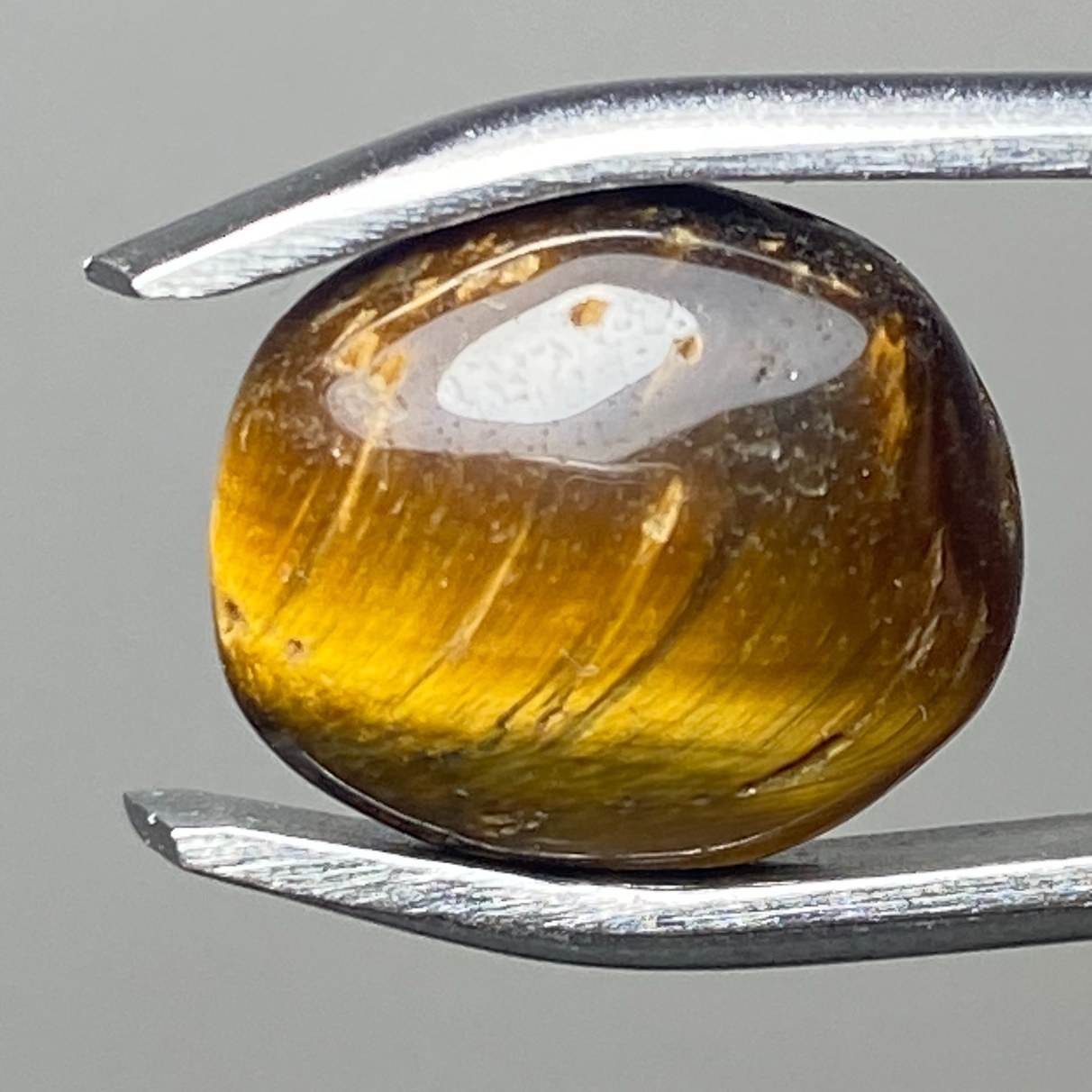 چشم ببر اصیل افریقا 2