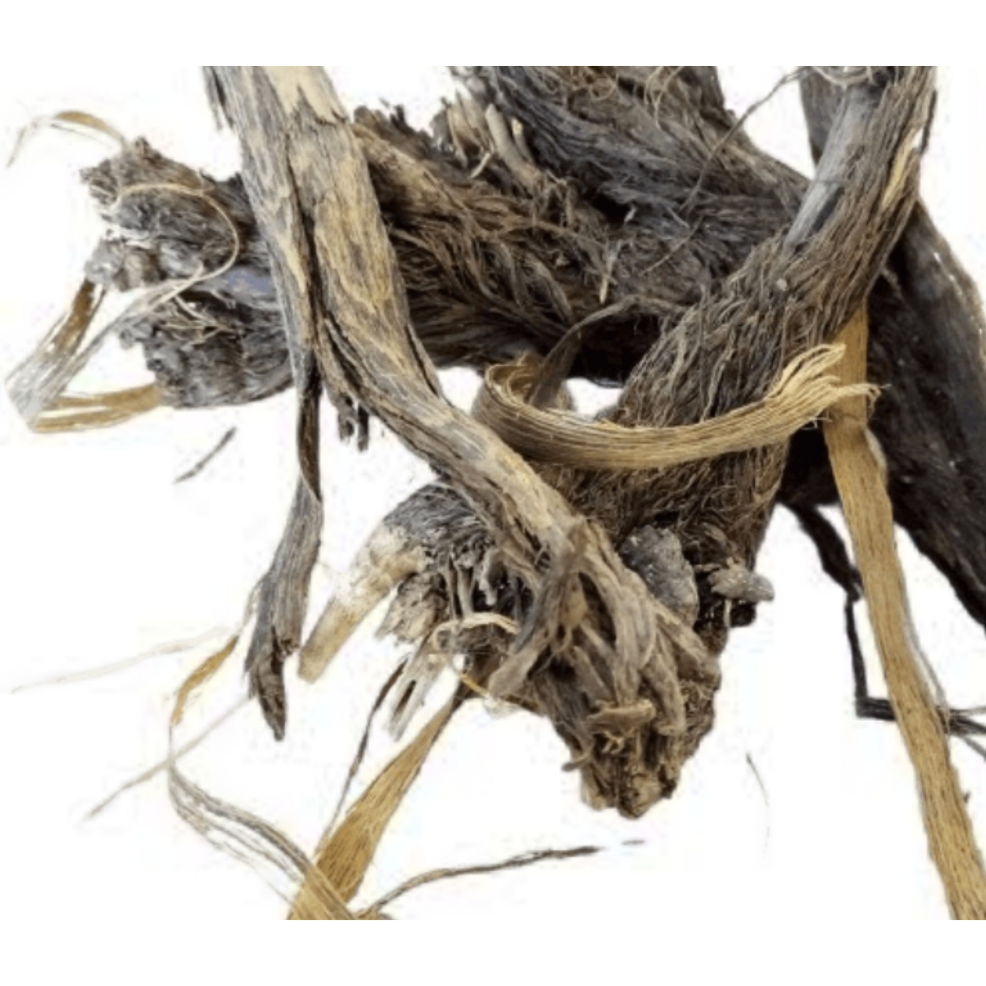 گیاه بابا آدم 100 گرم