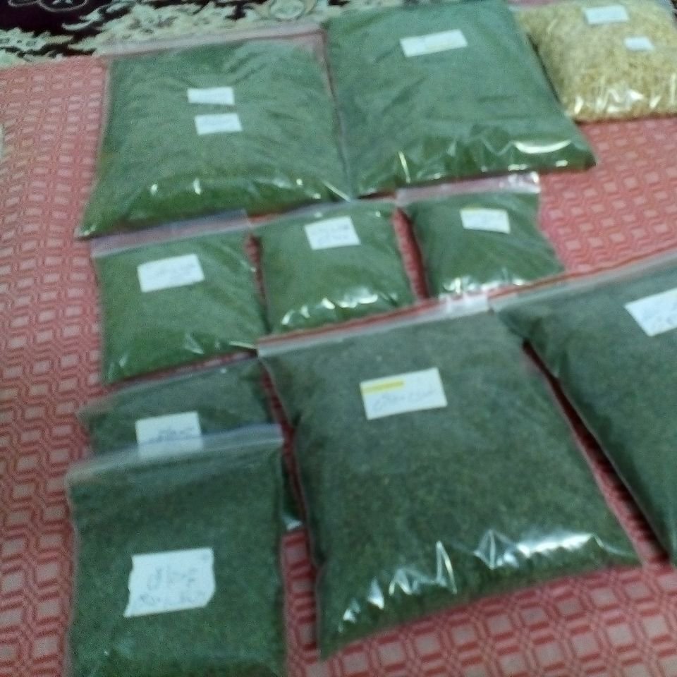 سبزی خشک  معطرشامی بابلی


سبزی خشک شامی بابلی