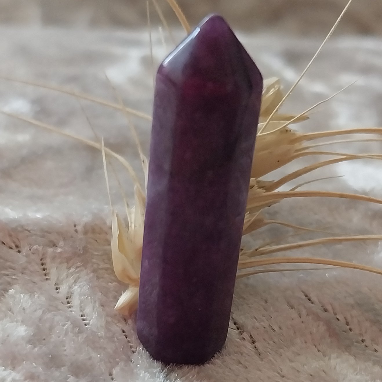 منشور فلوریت بنفش زیبا