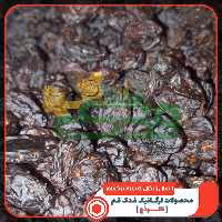 مویز ایرانی ممتاز فدک (800گرم)