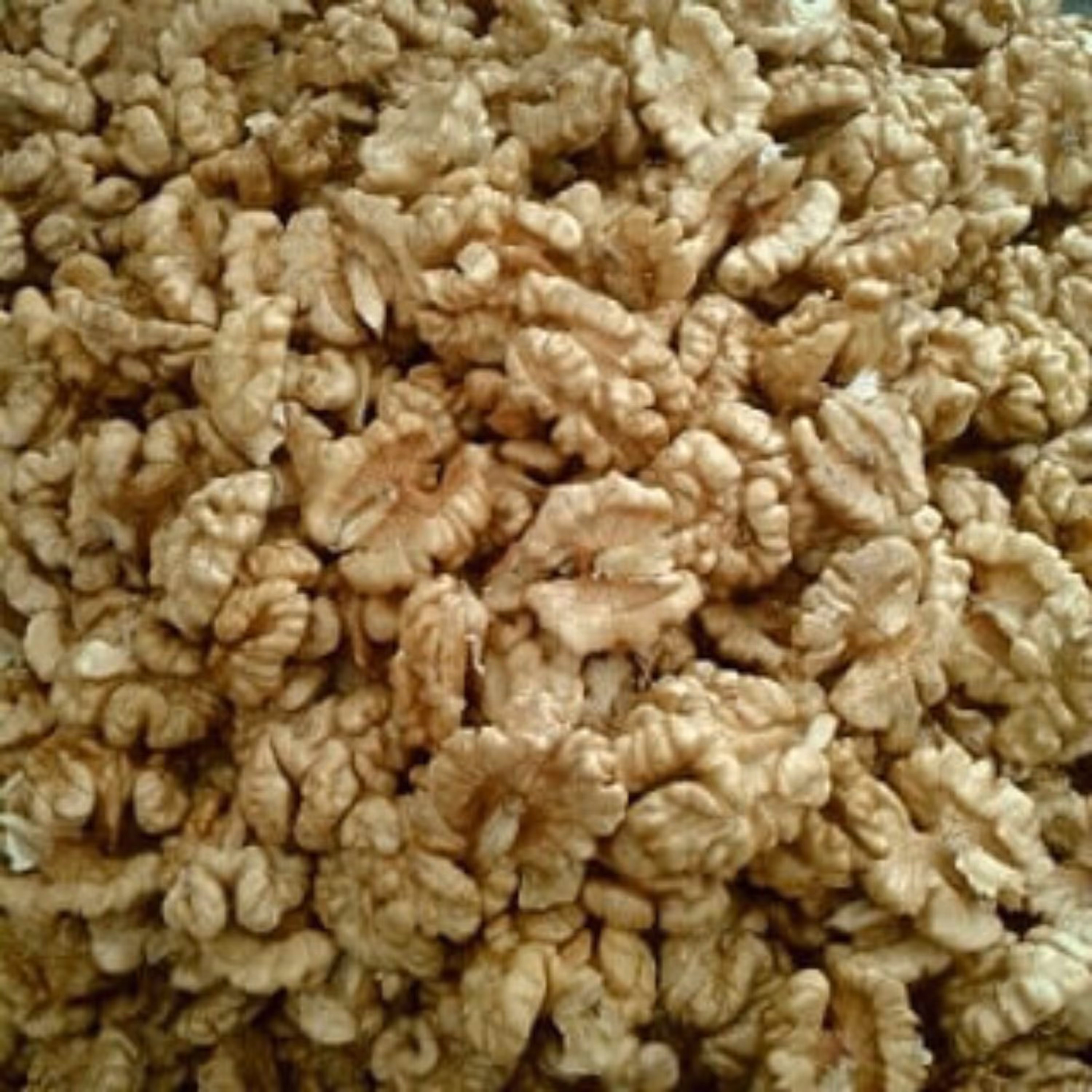 مغز گردو سفید اعلاء و چرب بومی ایرانی (400گرمی)