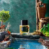 عطر ادکلن فنک کورنیش Fennec Corniche