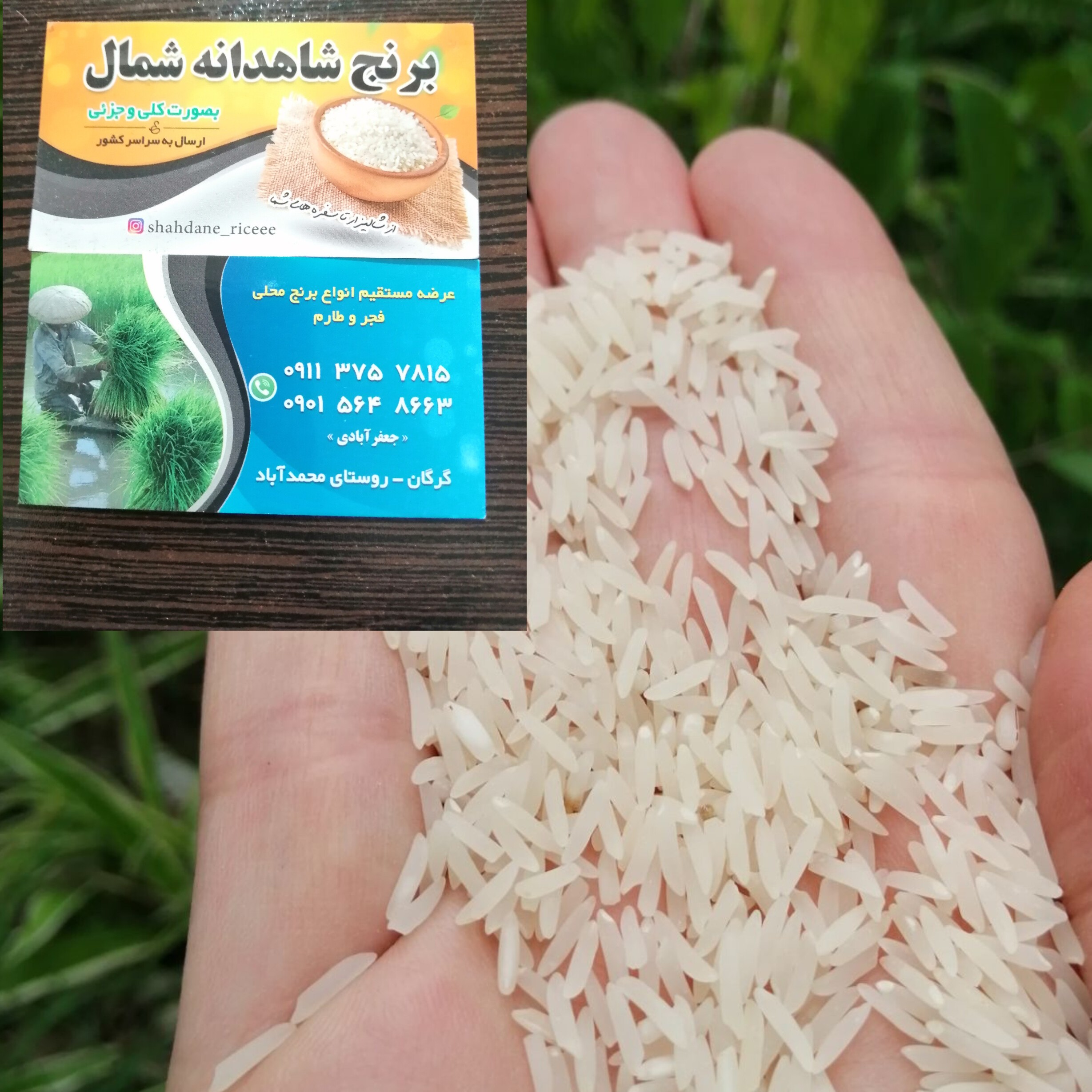 برنج فجر سوزنی گرگان درجه یک و یکدست بسته های 10 کیلویی820000 تومن