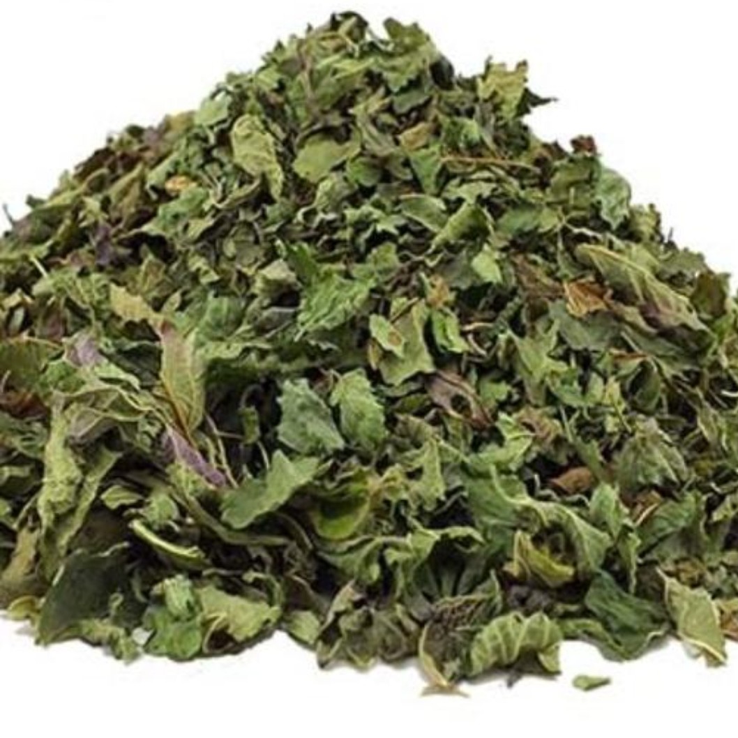گیاه بادرنجبویه
