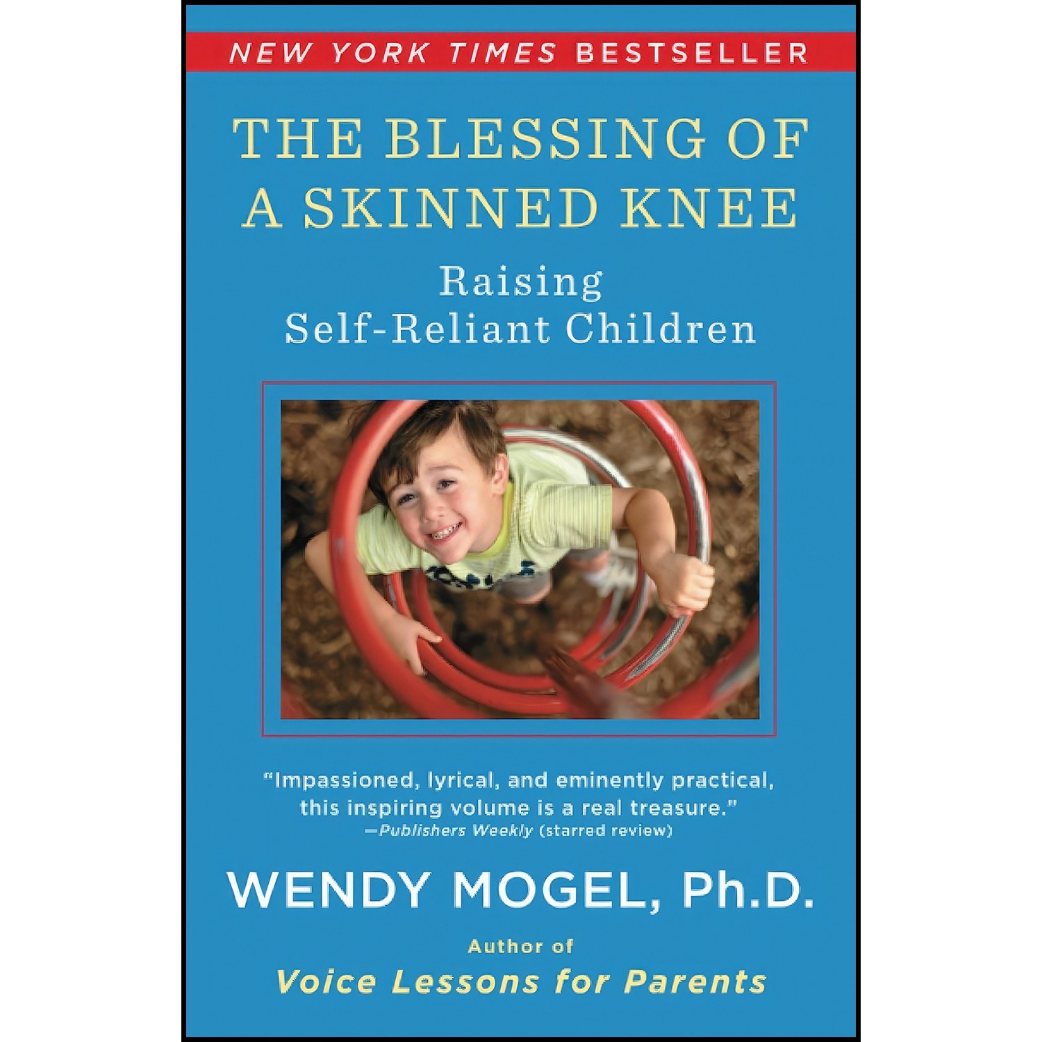کتاب زبان اصلی The Blessing Of A Skinned Knee اثر Wendy Mogel