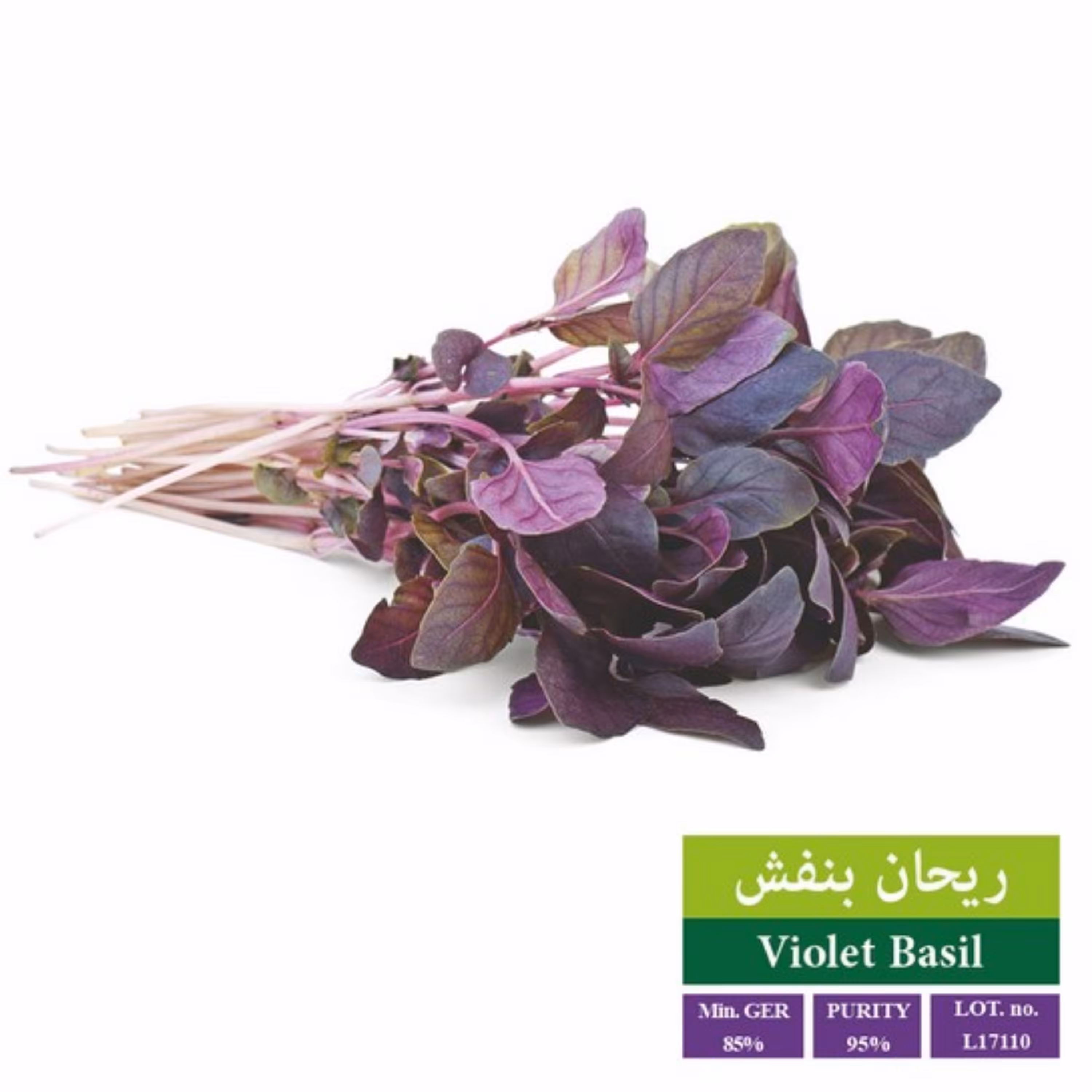 بذر ریحان بنفش بذر طلایی رویان (20 گرمی)