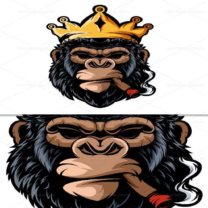 وکتور لوگو کاراکتر میمون | گرافیک با طعم تربچه