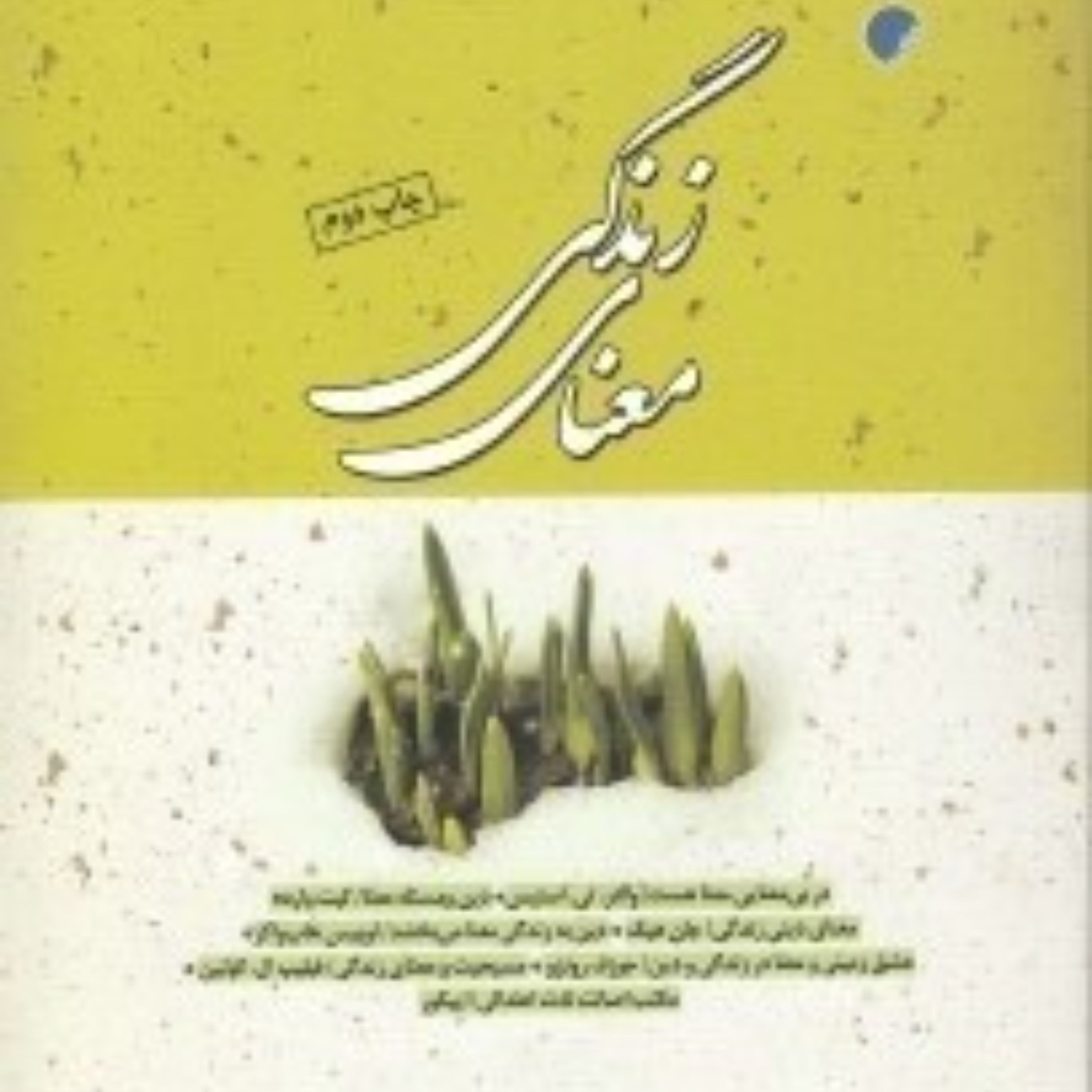 معنای زندگی مجموعه مقالات اثر اعظم پویا