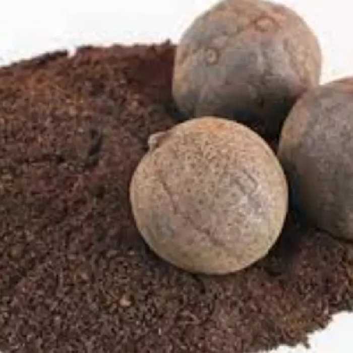 پورد لیمو عمانی تازه و درجه یک بدون تلخی(500گرم)