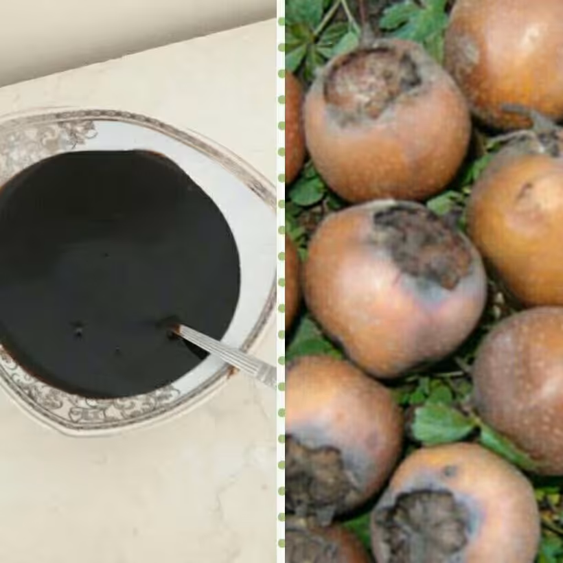 رب ازگیل یاکندس (کندس دشو) جنگلی با مزه ترش روبه ملس