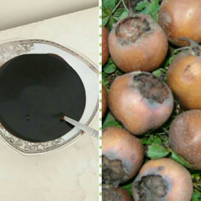 رب ازگیل یاکندس (کندس دشو) جنگلی با مزه ترش روبه ملس