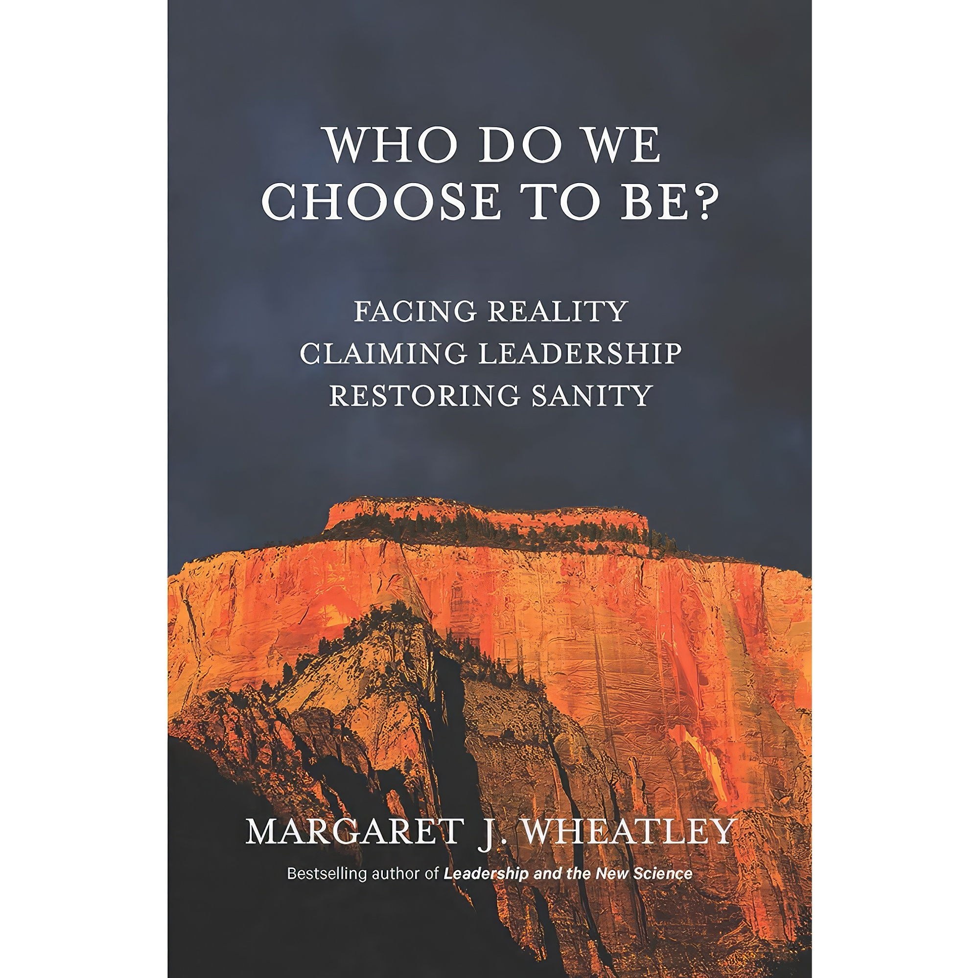 کتاب زبان اصلی Who Do We Choose To Be اثر Margaret J Wheatley
