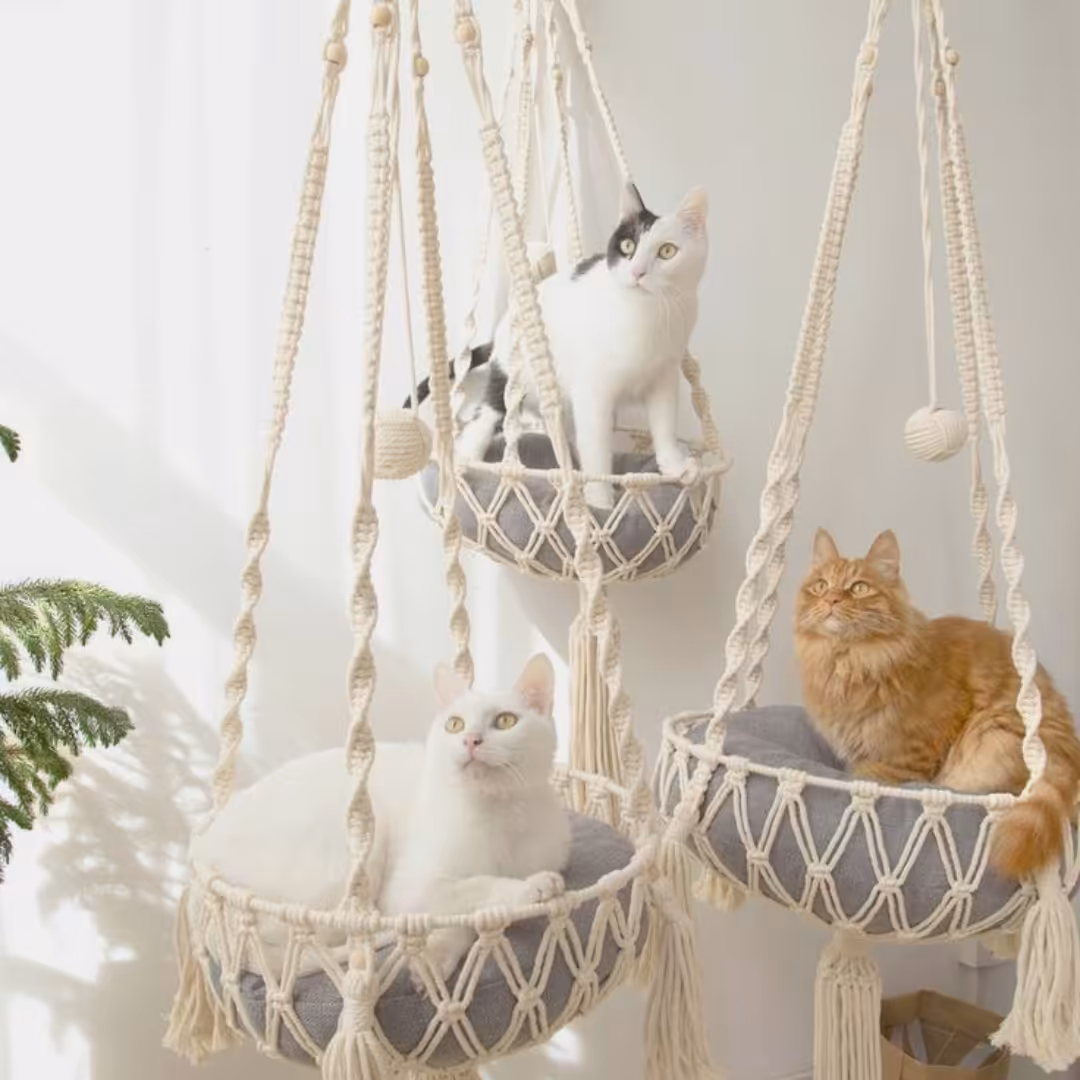 اویز جا گربه ..ی کار شیک و جالب .برای سرگرمی و جای راحت گربه ها.جای خواب راحت ..با رنگبندی و سایز دلخواه قابل سفارش