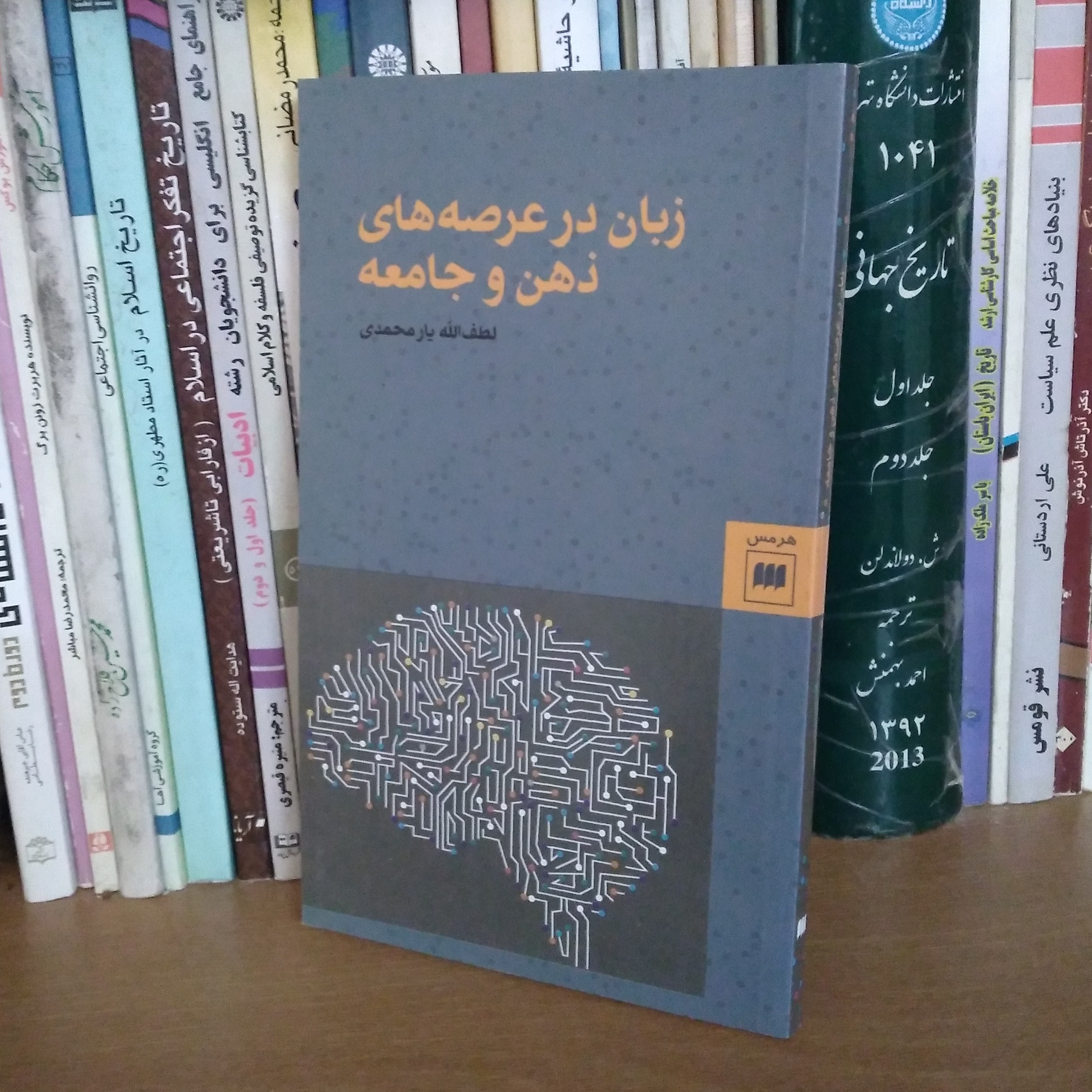 زبان در عرصه های ذهن و جامعه
