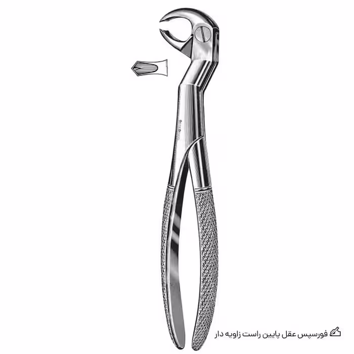 فورسپس عقل پایین راست زاویه دار