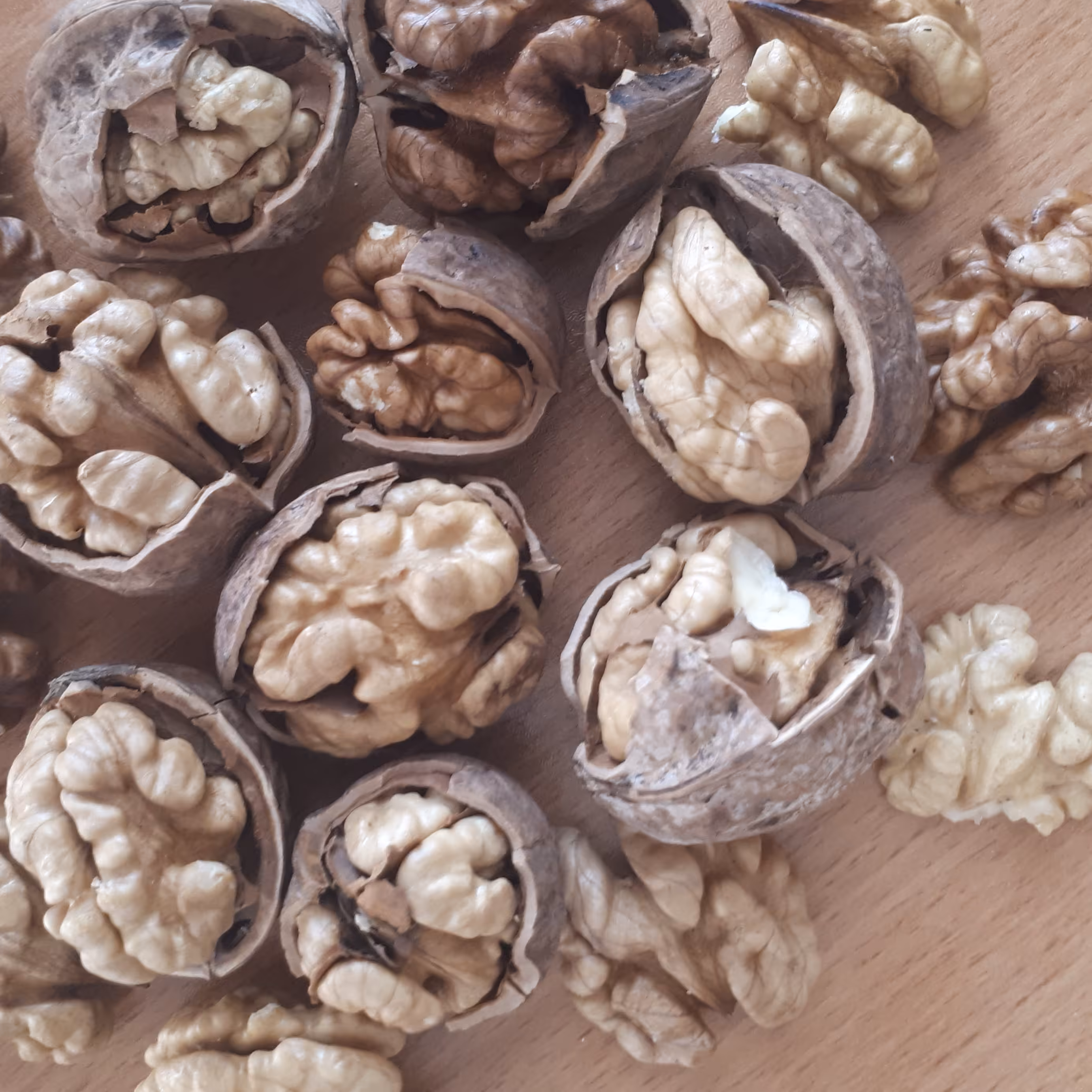 گردوی تویسرکان یک کیلویی