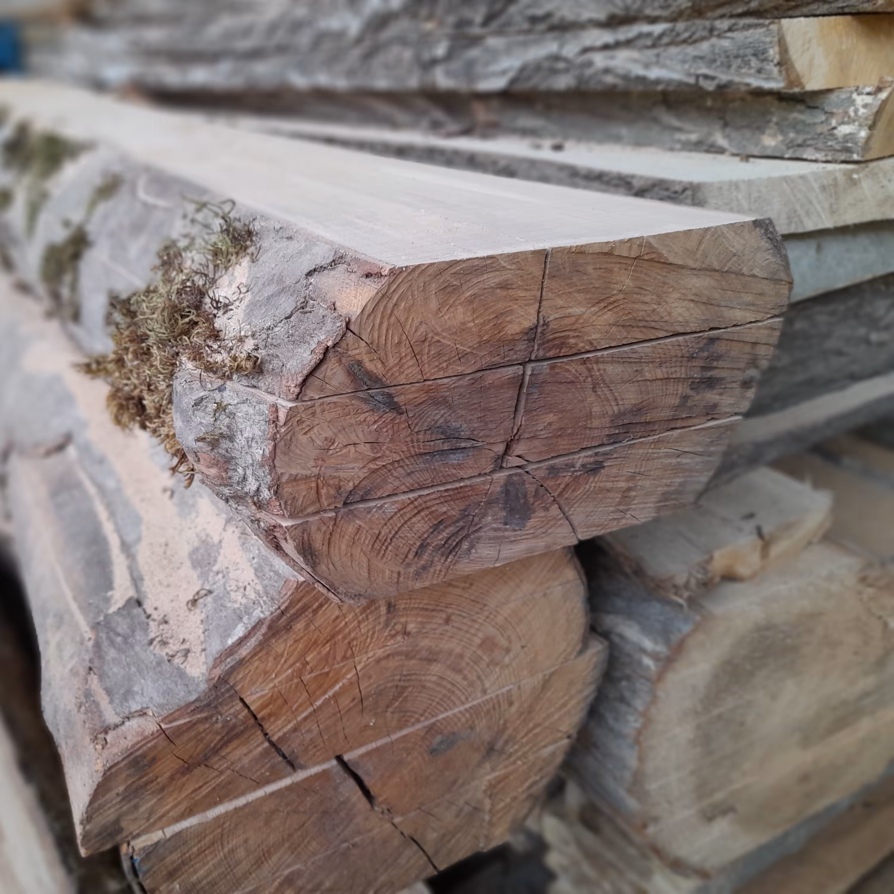 برش و پخش انواع تخته رام بری شده به صورت عمده و خرده از جمله راش ،توسکا ،بلوط ، سفید و گردو