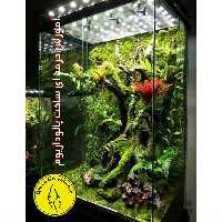 آموزش حرفه ای پالوداریوم