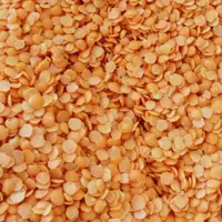 عدس قرمز ممتاز برکت خوشپخت پاک شده تمیز درجه یک