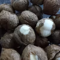 مغز فندق 1400 (500 گرمی)