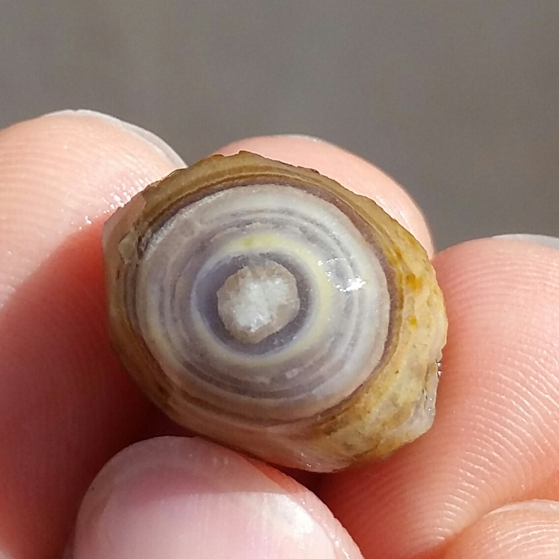 سنگ راف خام  عقیق باباقوری تک چشم مصور موکول دار رحمانی بسیار قوی برش نخورده 100 در 100 طبیعی شاهکار خلقت کد 11087