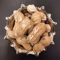 بادام زمینی با پوست نمکی