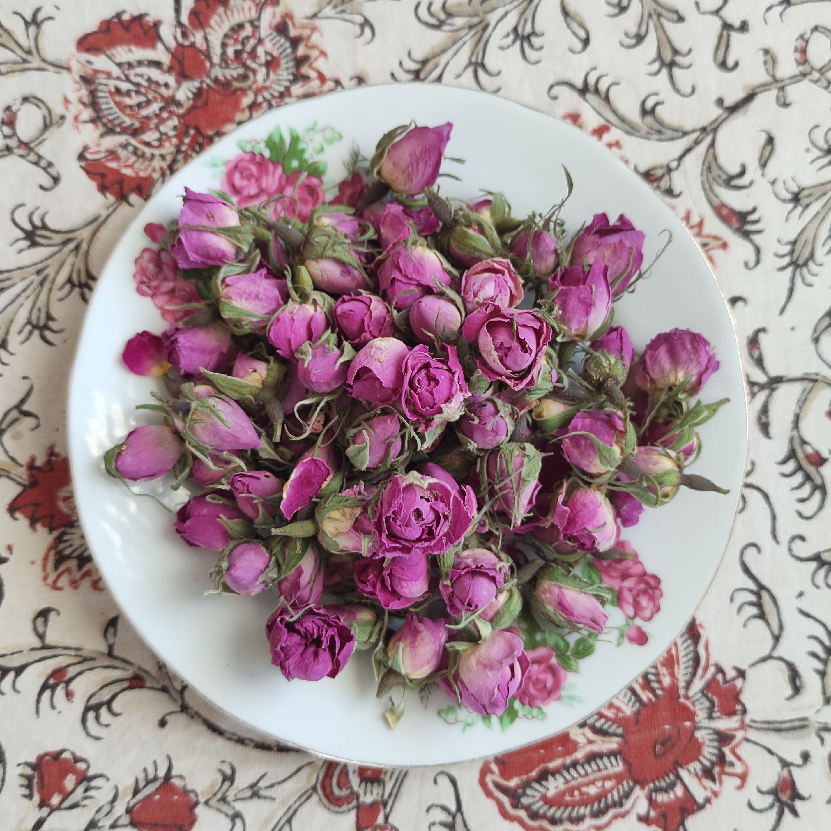 غنچه گل محمدی