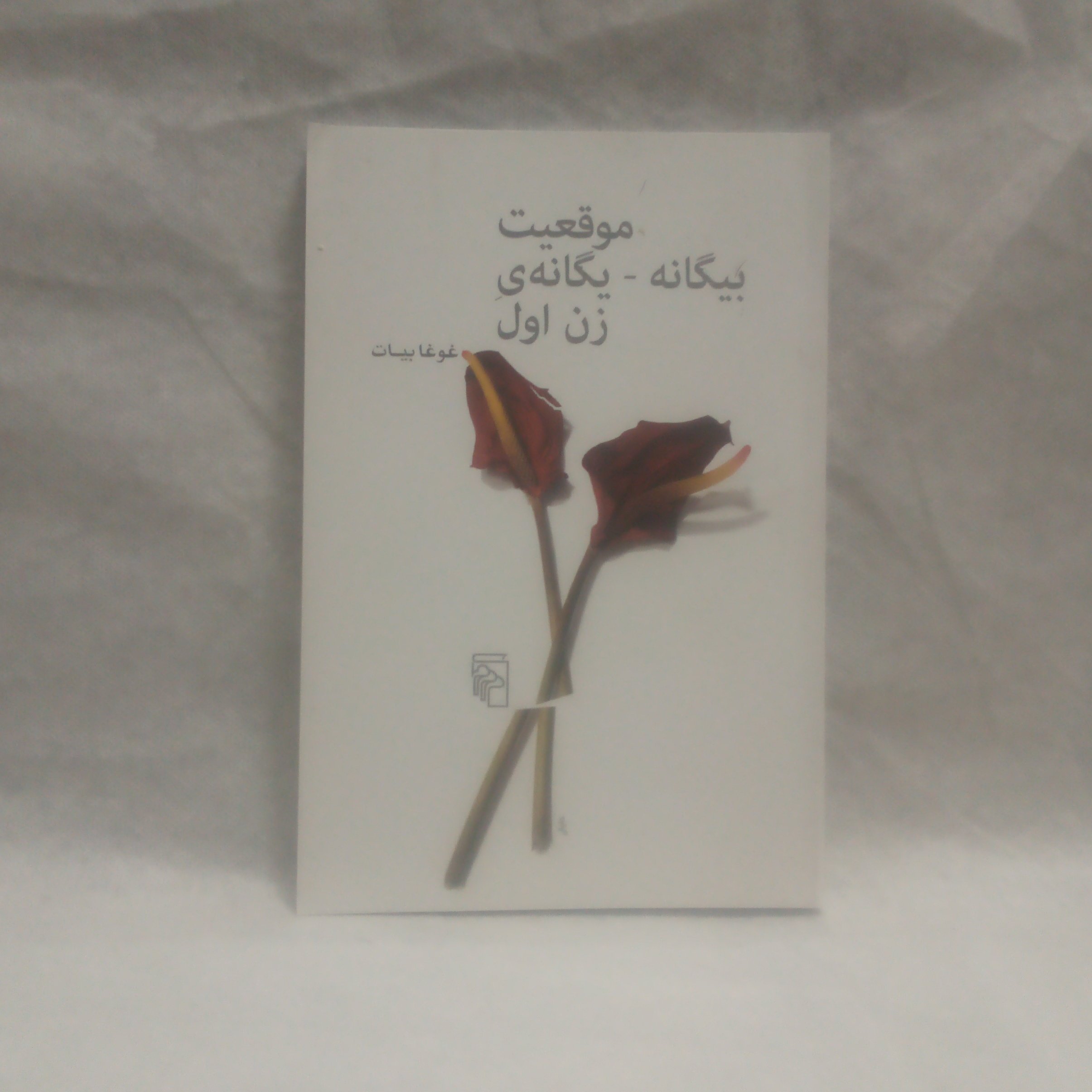 رمان موقعیت بیگانه یگانه زن اول  نوشته غوغابیات چاپ1392