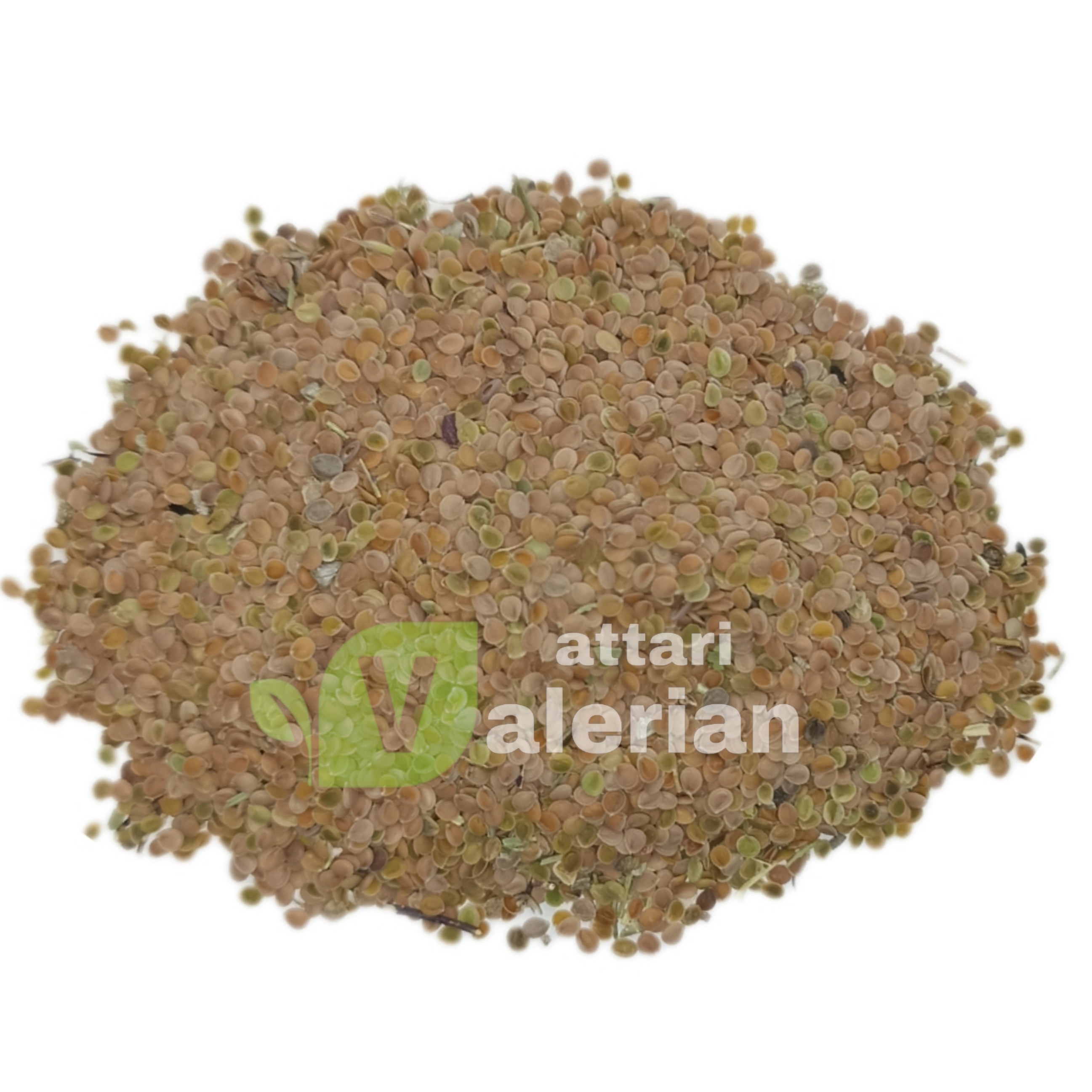 قدومه شیرازی