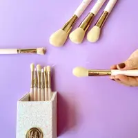 براش آرایش برند بی اچ به همراه استند
