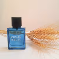 عطر (ادکلن) مردانه بلوشنل 30 میل از شرکت گلدن رز