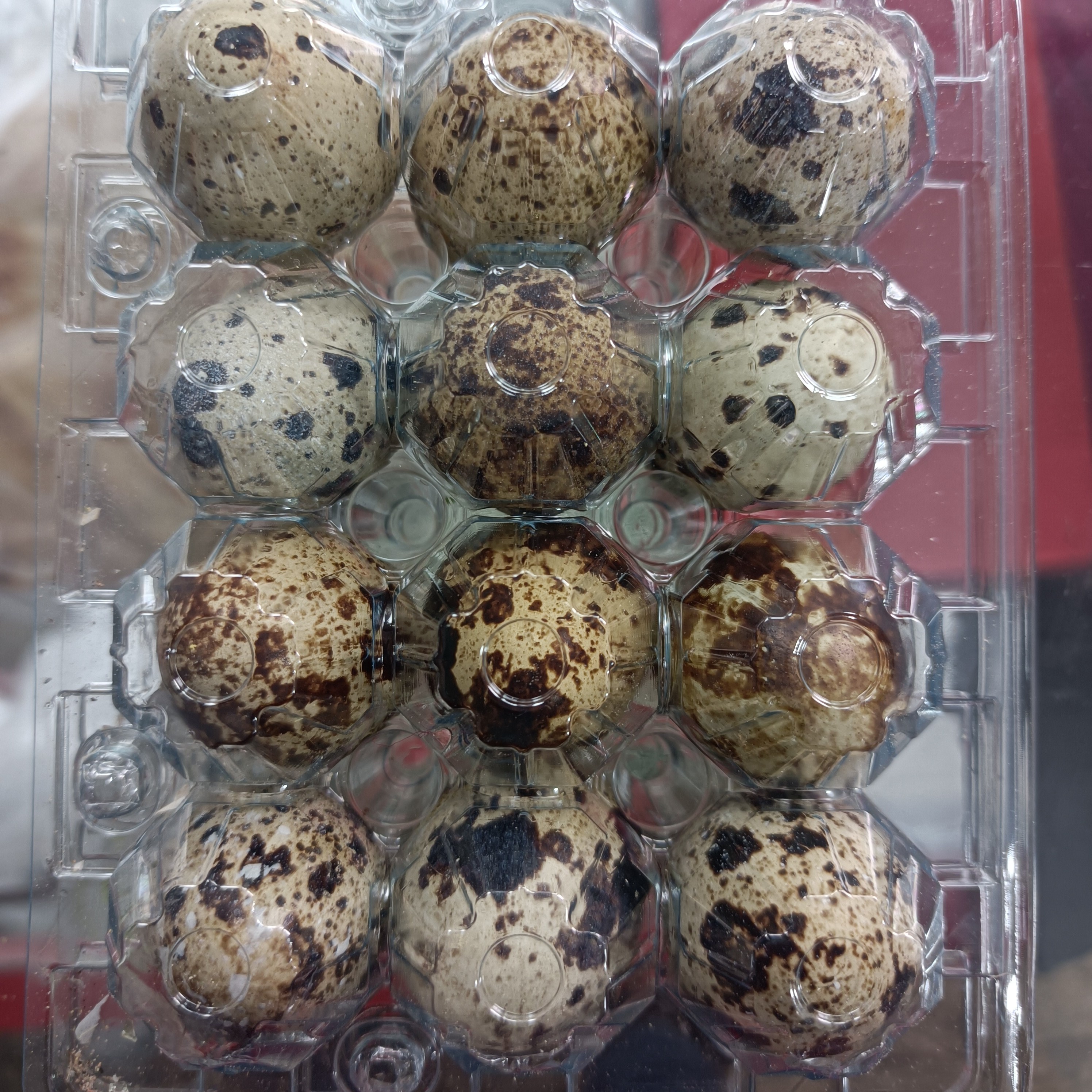 تخم بلدرچین