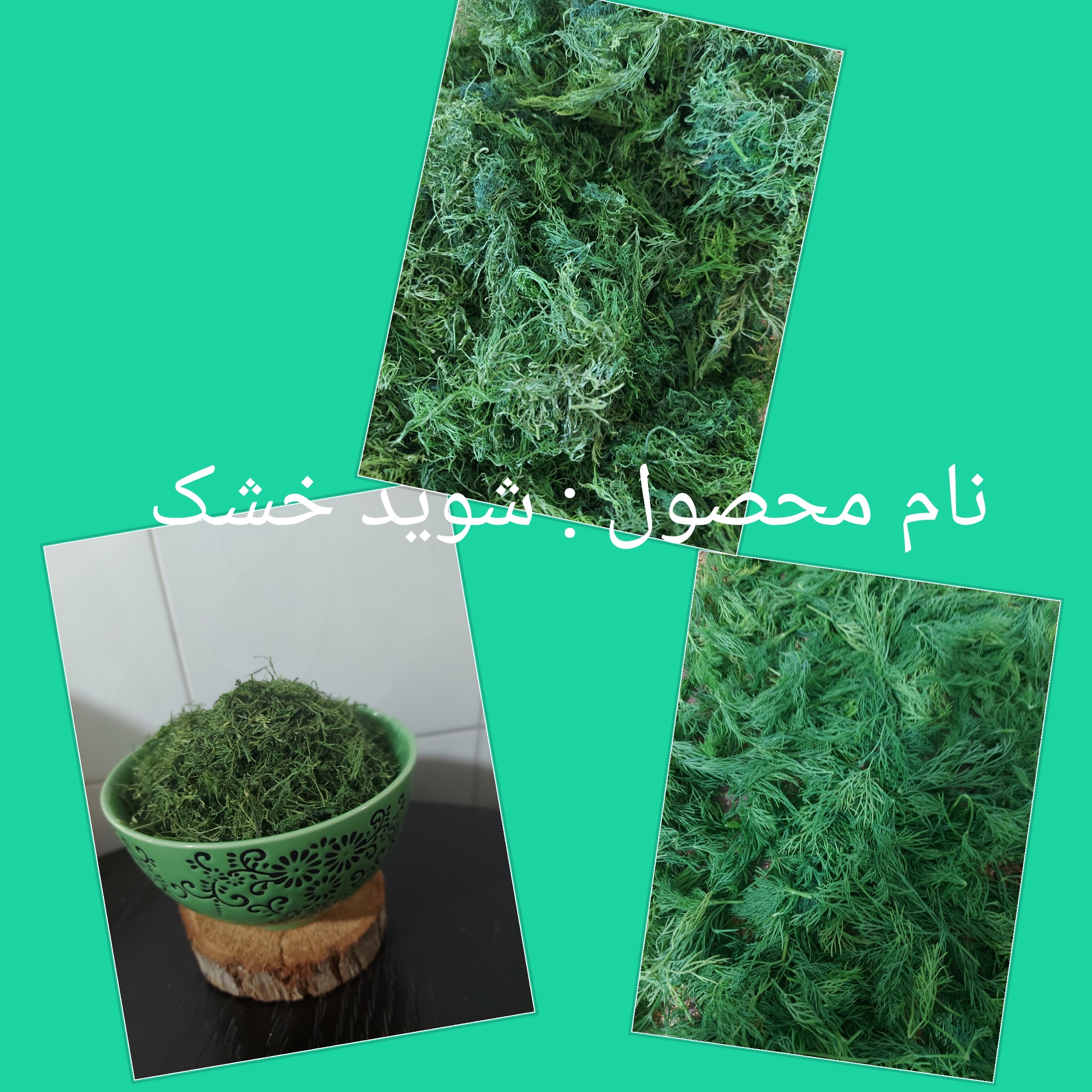 شوید خشک 100 گرم کاملا  ارگانیک  در  بسته بندی های بهداشتی 