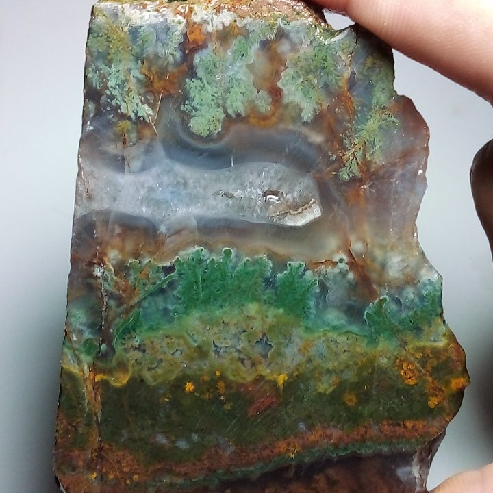 6عدداسلایس عقیق شجر وسلیمانی