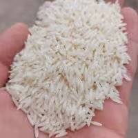 برنج طارم هاشمی اعلا ده کیلویی - آمل - امانی (با تضمین کیفیت) 