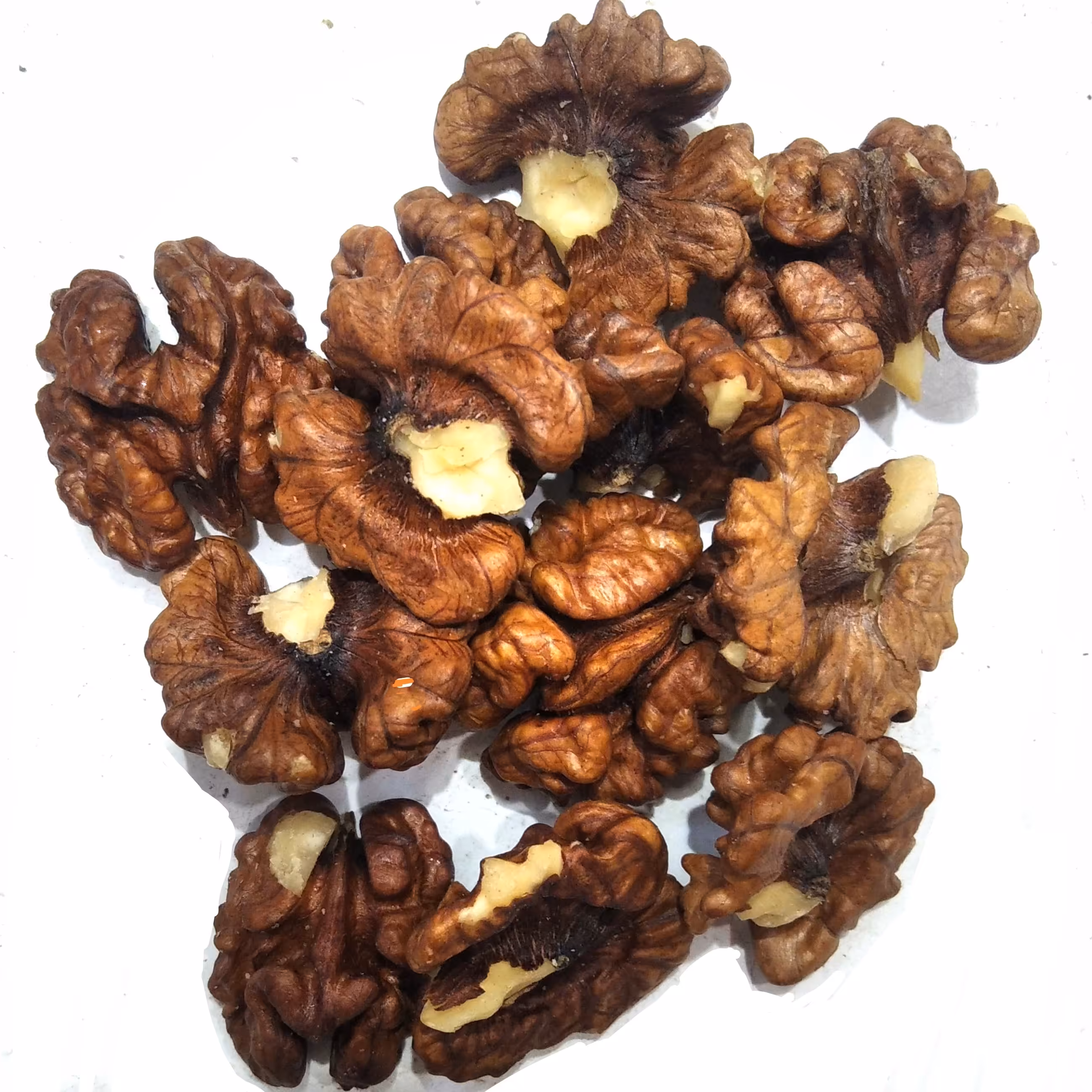 مغز گردوی ایرانی رنگ شکری درجه یک ارسال رایگان