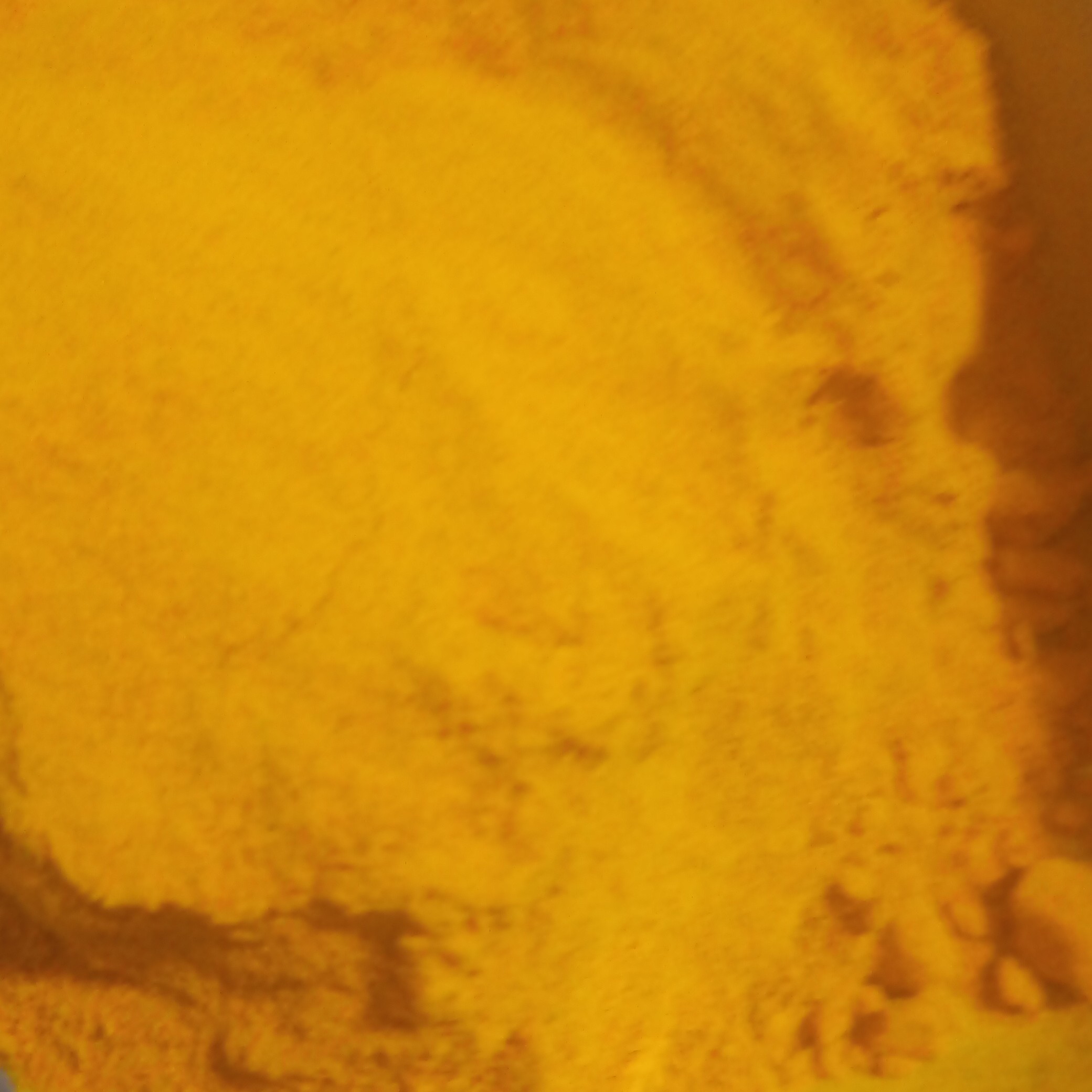 زردچوبه زرین عزت