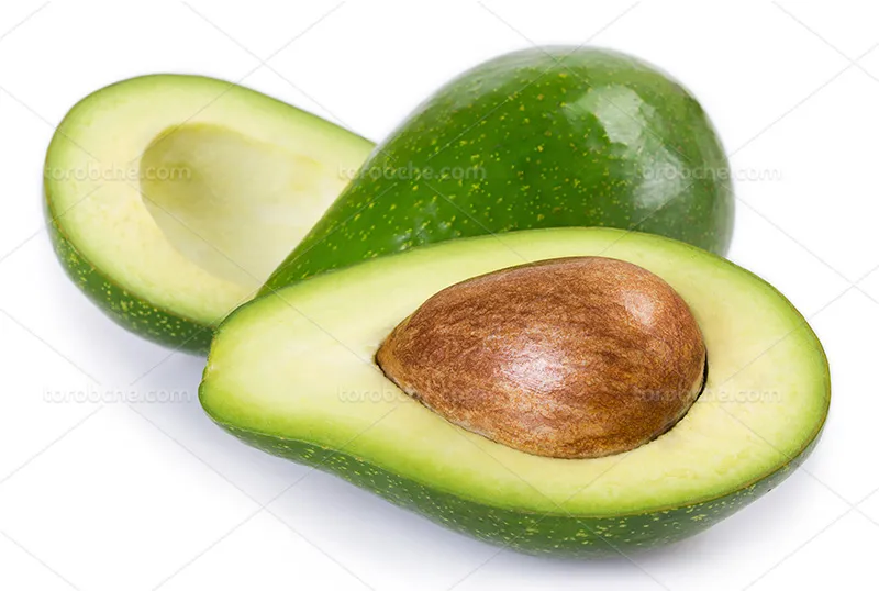 عکس با کیفیت میوه آووکادو | گرافیک با طعم تربچه