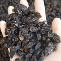 مویز سیاه گوشتی درشت ،مدل ترکمنی دربسته های 500 گرمی تمیز و شسته شده